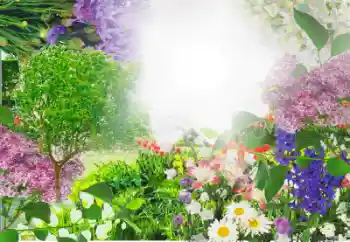 Foto-effetti della categoria Cornici da donna № 13913