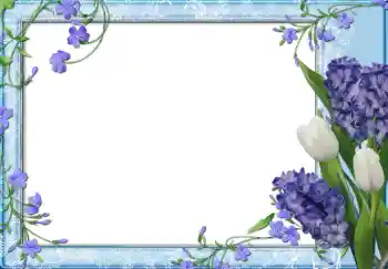 Foto-effetti della categoria Cornici da donna № 13950