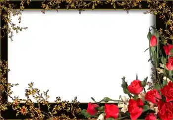 Foto-effetti della categoria Cornici da donna № 13953