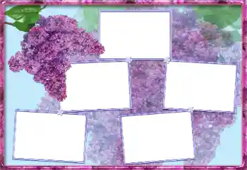 Foto-effetti della categoria Cornici da donna № 13954