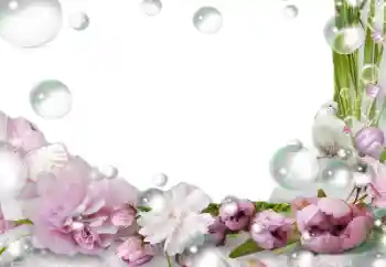 Foto-effetti della categoria Cornici da donna № 139757