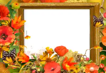 Foto-effetti della categoria Cornici da donna № 139911