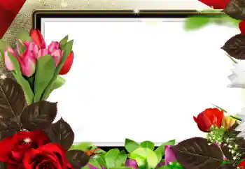 Foto-effetti della categoria Cornici da donna № 139912