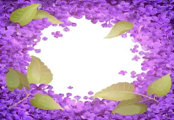 Foto-effetti della categoria Cornici da donna № 141055