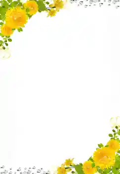 Foto-effetti della categoria Cornici da donna № 141062