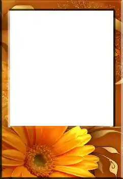 Foto-effetti della categoria Cornici da donna № 141132