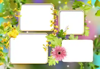 Foto-effetti della categoria Cornici da donna № 141134