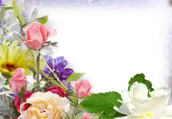 Foto-effetti della categoria Cornici da donna № 142430