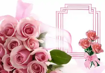 Foto-effetti della categoria Cornici da donna № 143506