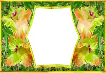 Foto-effetti della categoria Cornici da donna № 143517