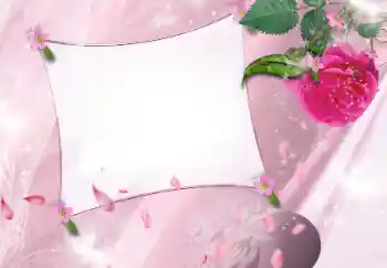 Foto-effetti della categoria Cornici da donna № 143586