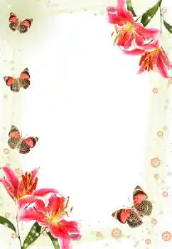 Foto-effetti della categoria Cornici da donna № 143606