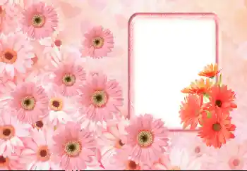 Foto-effetti della categoria Cornici da donna № 143633