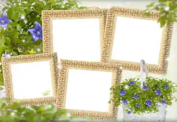 Foto-effetti della categoria Cornici da donna № 143738