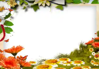 Foto-effetti della categoria Cornici da donna № 143768