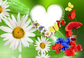 Foto-effetti della categoria Cornici da donna № 143780