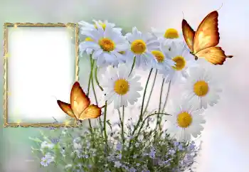 Foto-effetti della categoria Cornici da donna № 145117