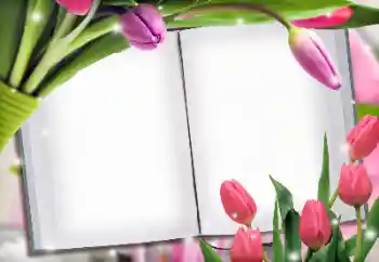 Foto-effetti della categoria Cornici da donna № 145223