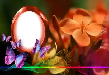 Foto-effetti della categoria Cornici da donna № 146254