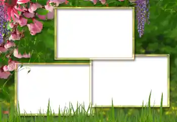 Foto-effetti della categoria Cornici da donna № 146298