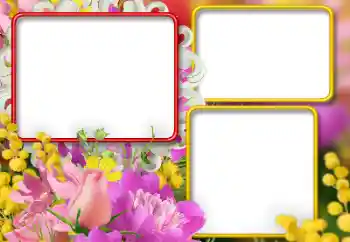 Foto-effetti della categoria Cornici da donna № 146392