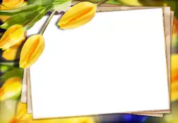 Foto-effetti della categoria Cornici da donna № 147770