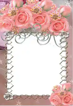 Foto-effetti della categoria Cornici da donna № 14894