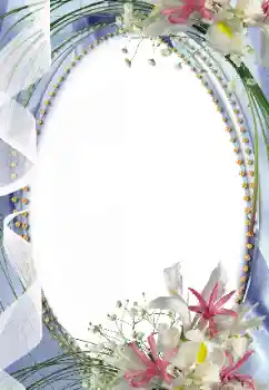 Foto-effetti della categoria Cornici da donna № 14897