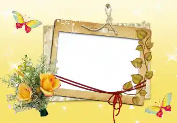 Foto-effetti della categoria Cornici da donna № 14916
