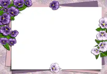 Foto-effetti della categoria Cornici da donna № 149194