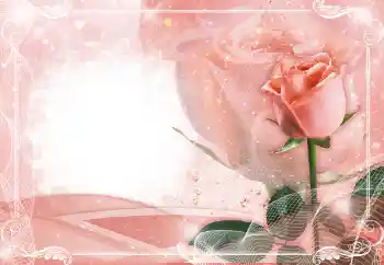 Foto-effetti della categoria Cornici da donna № 149224