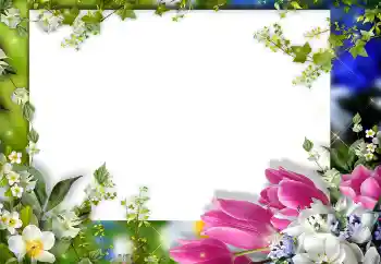 Foto-effetti della categoria Cornici da donna № 149325