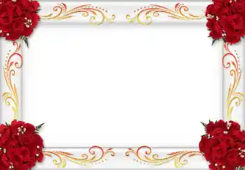Foto-effetti della categoria Cornici da donna № 14950
