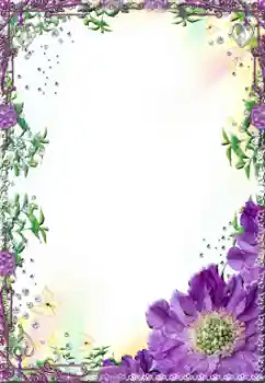 Foto-effetti della categoria Cornici da donna № 14999