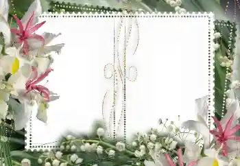 Foto-effetti della categoria Cornici da donna № 15027 Foto-effetti della categoria Cornici da donna № 15027