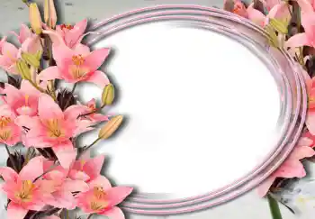 Foto-effetti della categoria Cornici da donna № 15032 Foto-effetti della categoria Cornici da donna № 15032