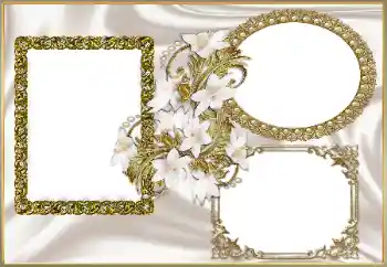 Foto-effetti della categoria Cornici da donna № 150434