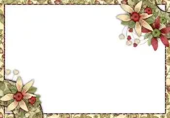 Foto-effetti della categoria Cornici da donna № 150542