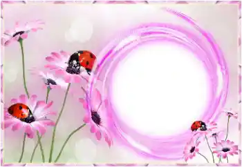 Foto-effetti della categoria Cornici da donna № 150559