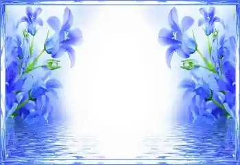 Foto-effetti della categoria Cornici da donna № 150560