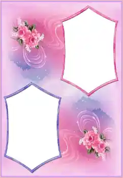 Foto-effetti della categoria Cornici da donna № 150562