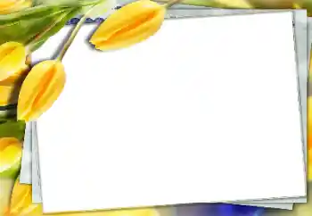 Foto-effetti della categoria Cornici da donna № 150591