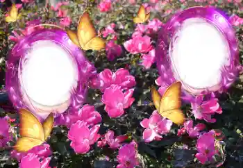 Foto-effetti della categoria Cornici da donna № 151815