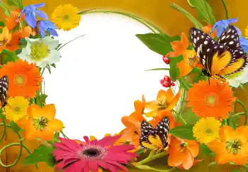 Foto-effetti della categoria Cornici da donna № 152894