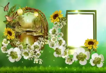 Foto-effetti della categoria Cornici da donna № 152953