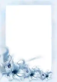 Foto-effetti della categoria Cornici da donna № 152955