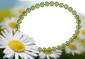 Foto-effetti della categoria Cornici da donna № 152966