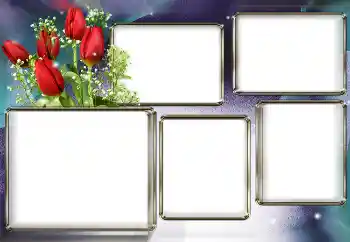 Foto-effetti della categoria Cornici da donna № 153003