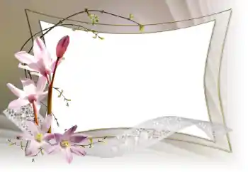 Foto-effetti della categoria Cornici da donna № 153036