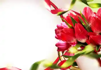 Foto-effetti della categoria Cornici da donna № 153228